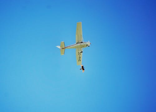 Free stock photo of aeroplane, beautiful sky, bird