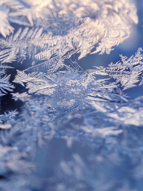 Ice Pattern on the Glass 