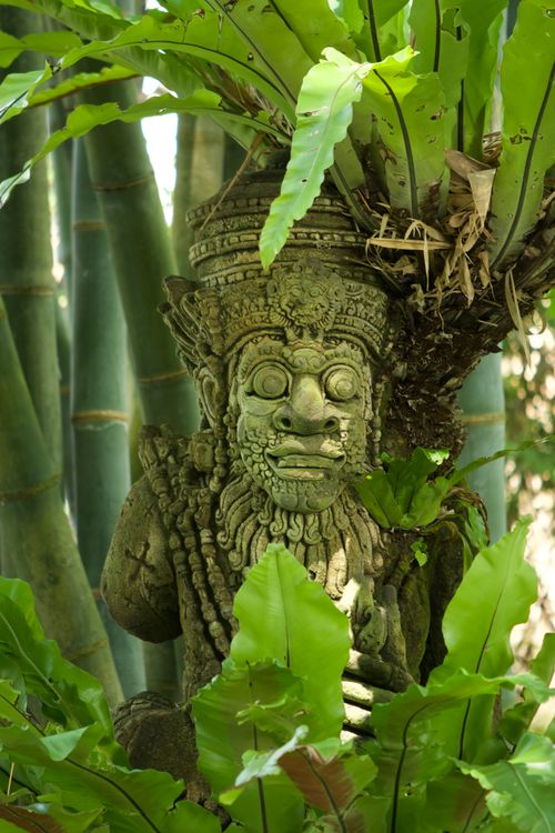 Free A traditional stone carving surrounded by lush green foliage, showcasing tribal art in a natural setting. Stock Photo