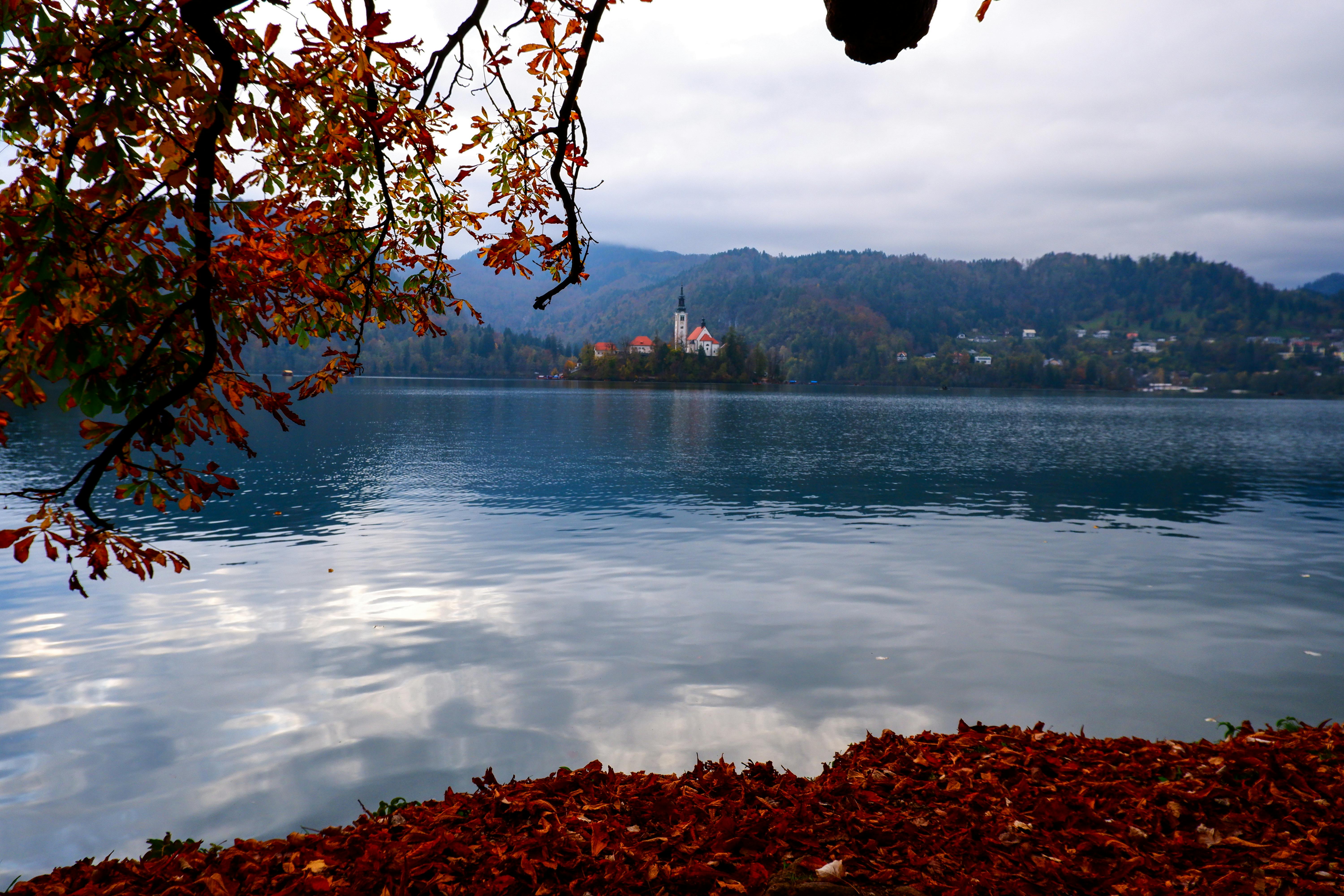 Lago Di Bled 3 Photos & Videos Collected By Viofla Ph
