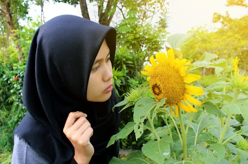 Gratis arkivbilde med blomster, gård, gress