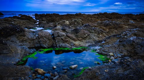 Free stock photo of beach, blue sky, mossy rocks