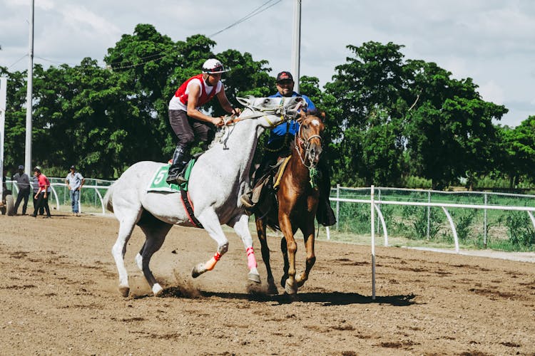 Two White And Brown Running Horses