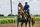 horse and rider