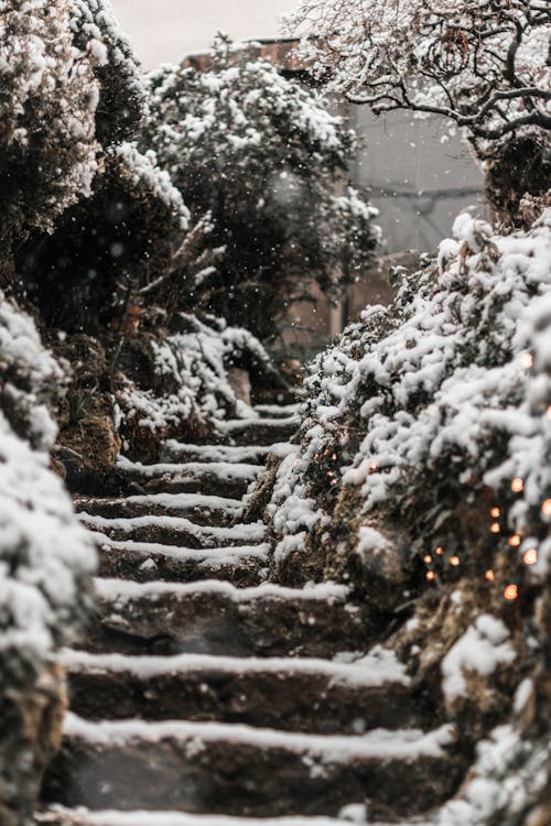 Low Angle Photo of Snow Covered Staircase
