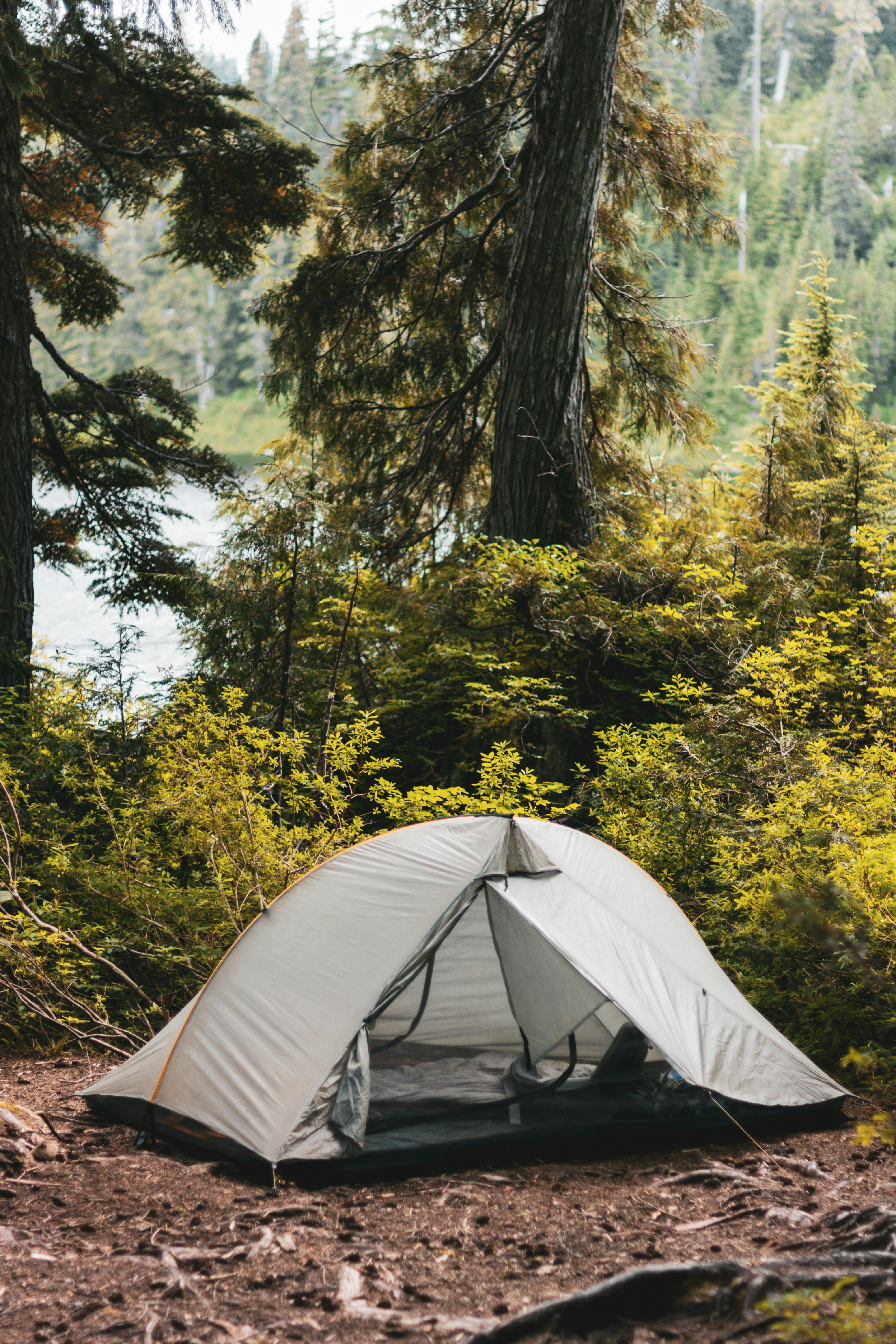 A serene camping scene with a tent set in a lush forest, ideal for adventure seekers.