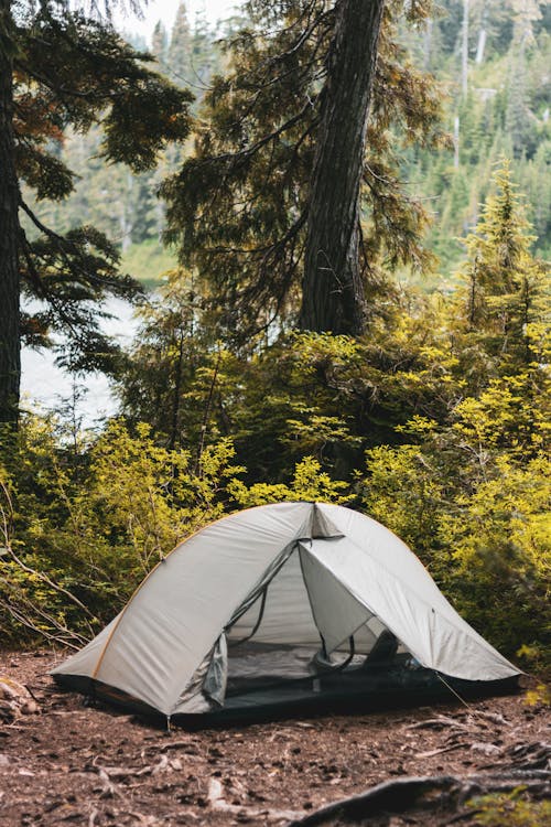 açık hava, ağaçlar, çadır içeren Ücretsiz stok fotoğraf