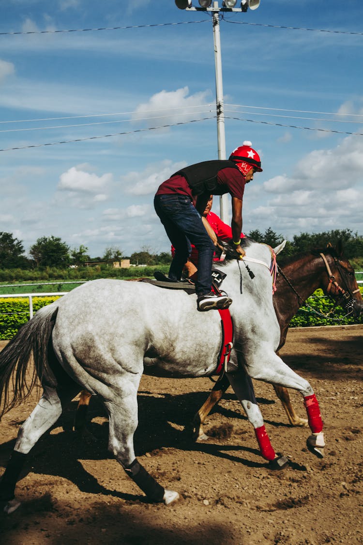 Man Riding Gray Horse