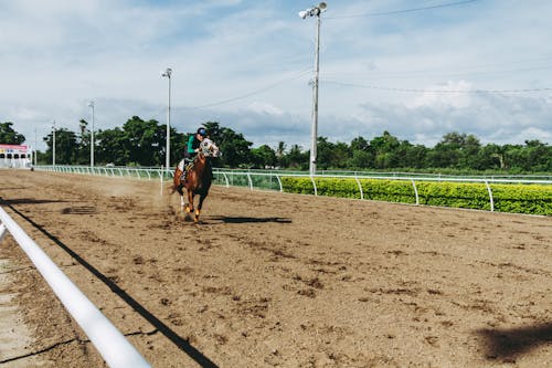 Photo of Person Riding Horse