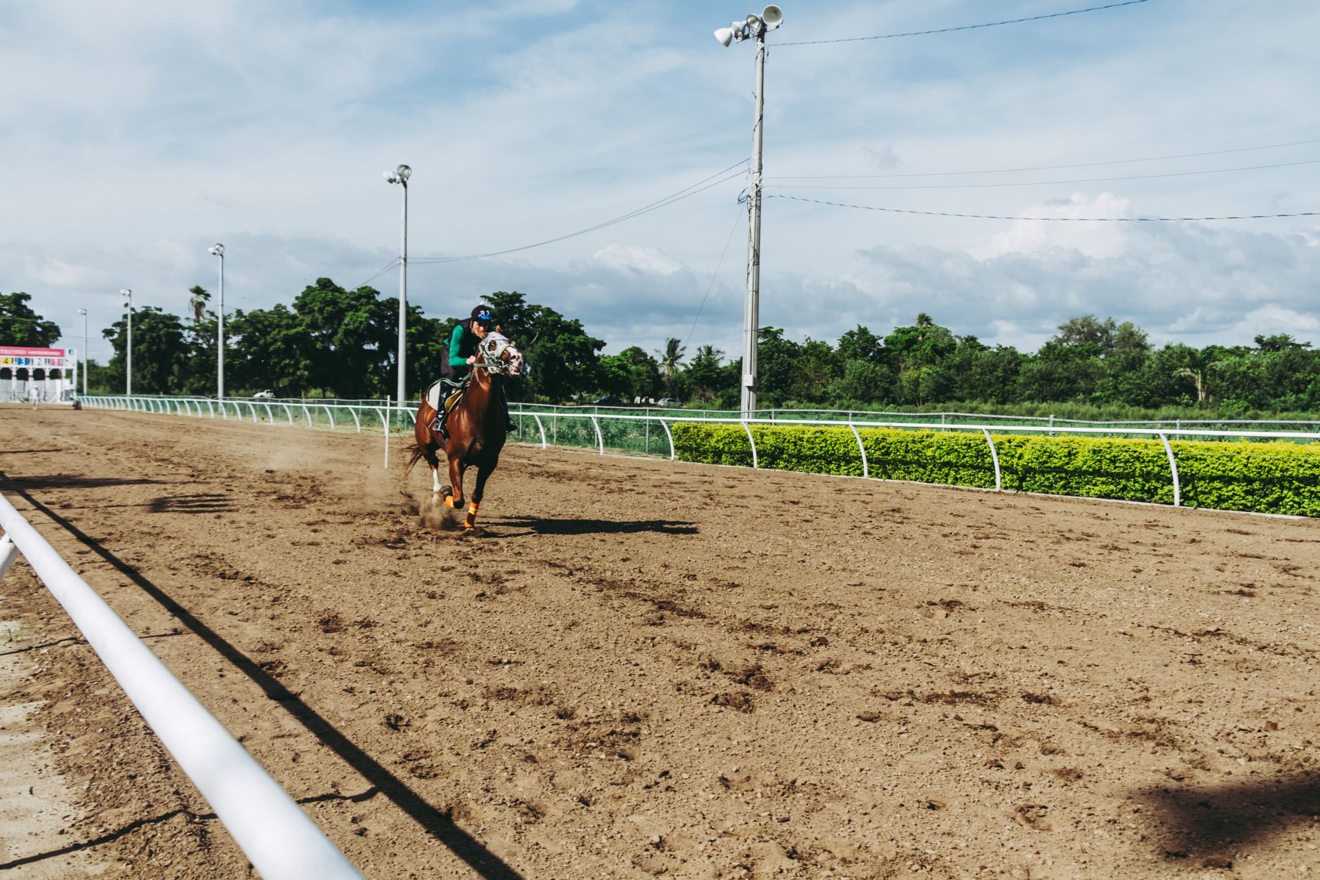 A horseback rider racing on a sunny day, showcasing speed and skill.