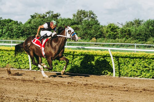 Man Rijdt Op Paard