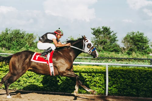 Uomo A Cavallo