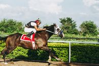 Man Riding Horse