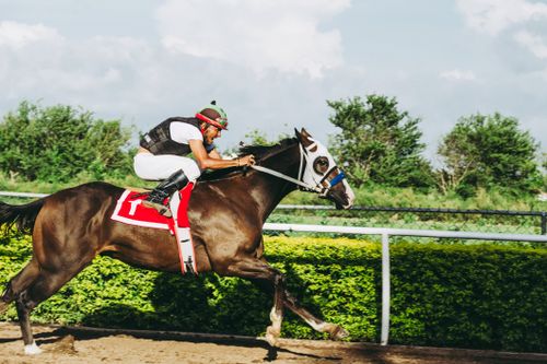 Free A thrilling action shot of a jockey riding a horse at full speed during a race on a sunny day. Stock Photo