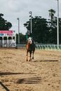 Person Riding on Horse