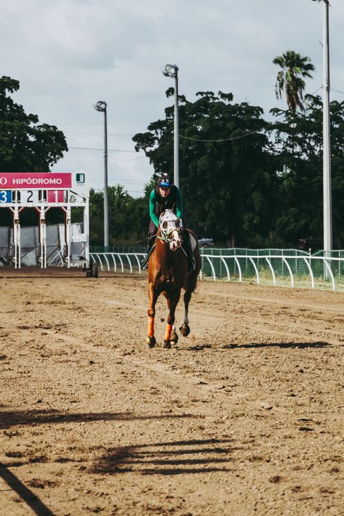 Free Dynamic action shot of a jockey riding a racehorse on an outdoor dirt track at the Hipodromo racecourse. Stock Photo