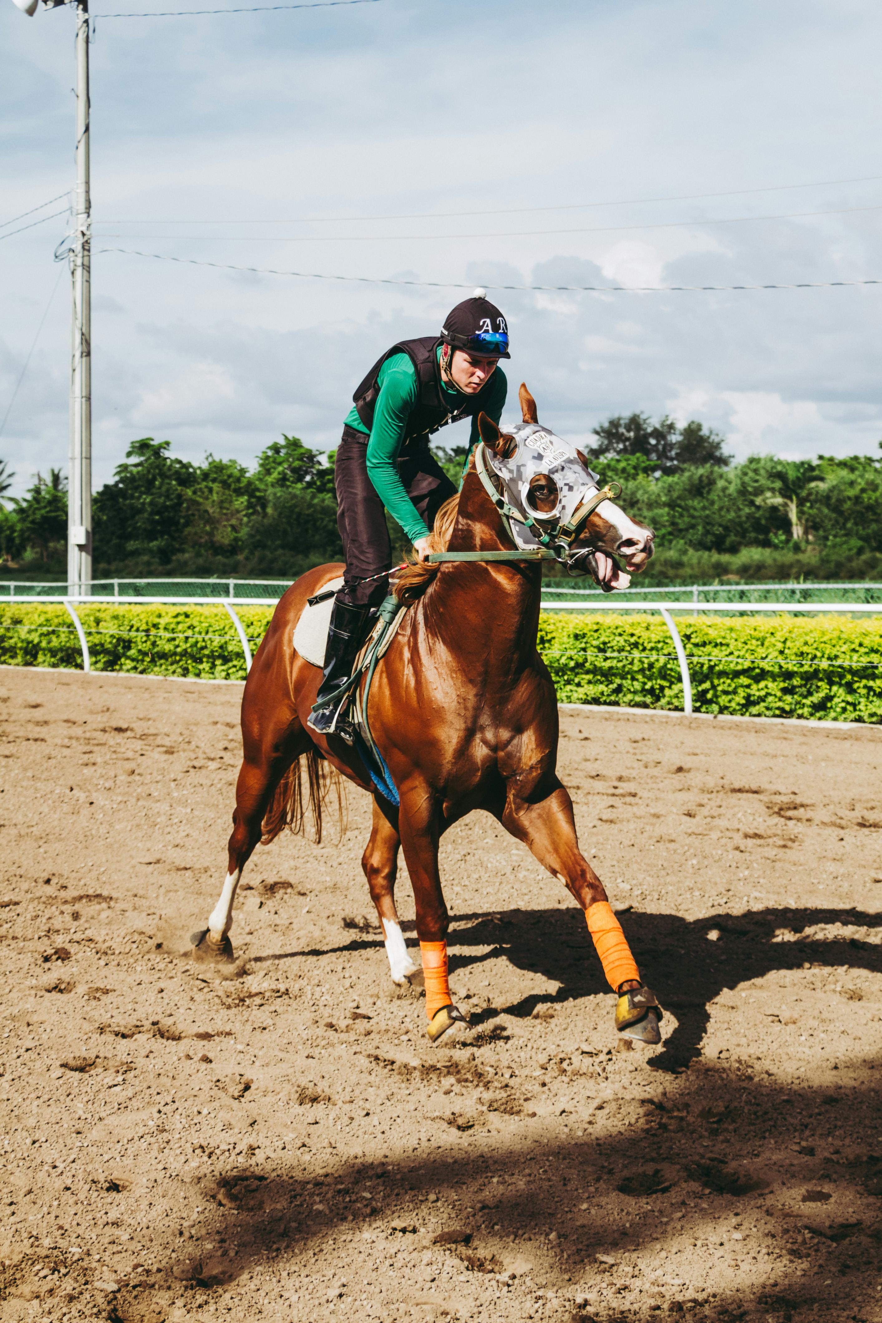 equestrian riding horse on field