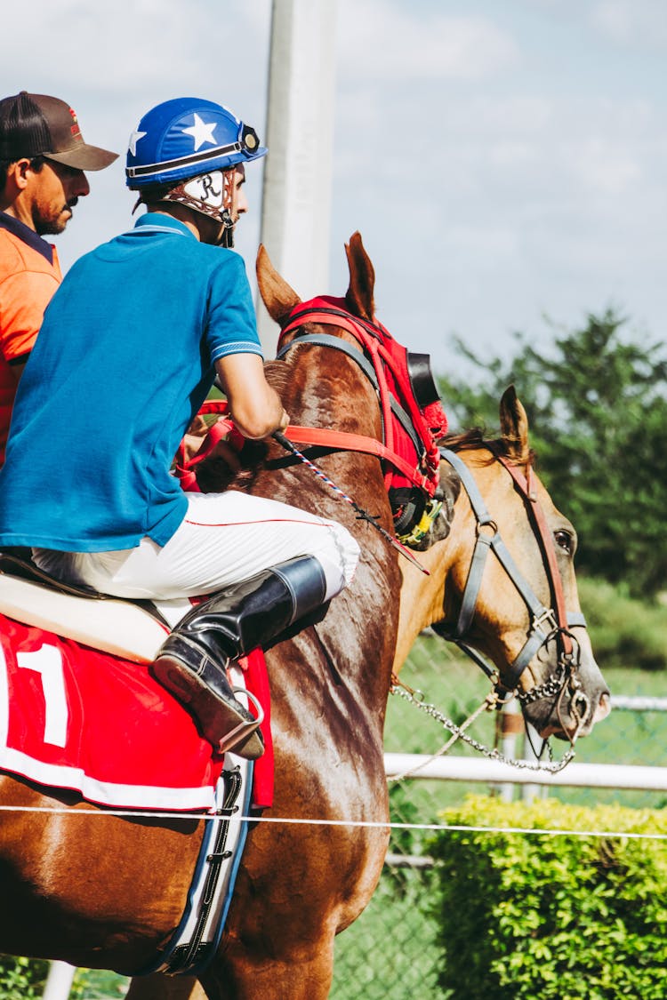 Man Riding On Horse