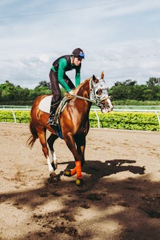 在一个阳光明媚的日子，骑师骑着马在赛道上比赛