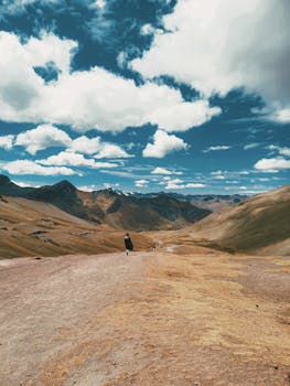 A solitary figure walks across a vast, arid valley under a dramatic sky.