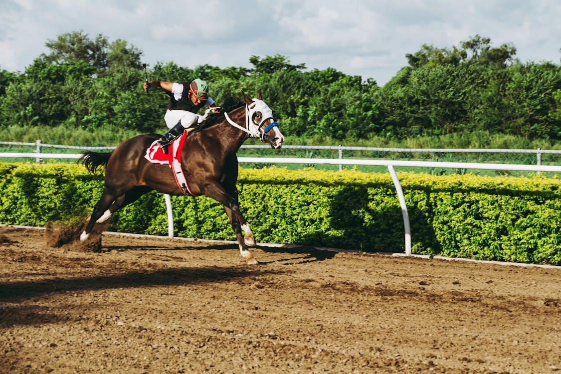 Horse Race Betting SIngapore