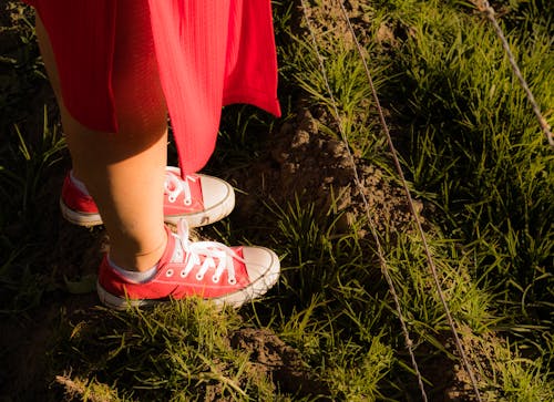 Photos gratuites de baskets, chaussures rouges, debout