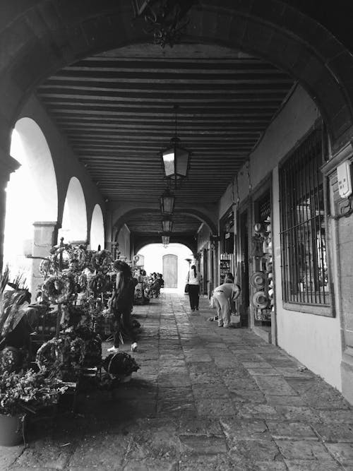 Black and White Photo of Street Shops under Arcades