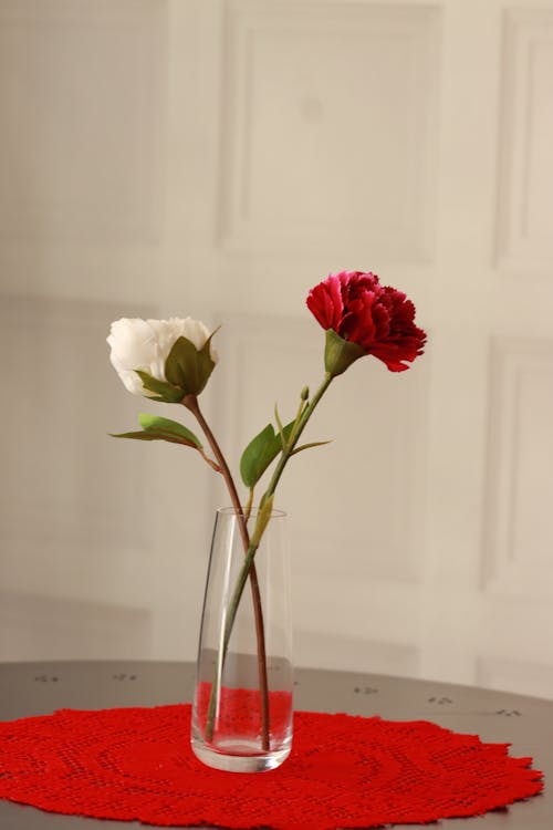 Red and White Flowers in a Glass Vase