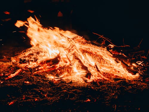 Close-Up Shot of a Campfire 