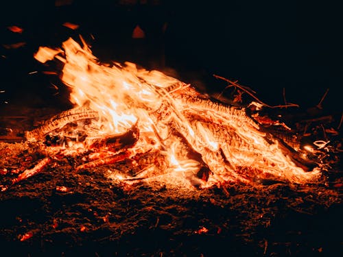 Foto profissional grátis de ardente, chama, fechar-se