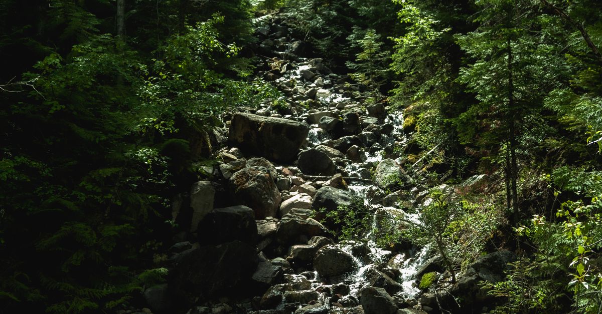 Stream With Rocks Background Stream and Rocks in Woods ยท Free Stock Photo