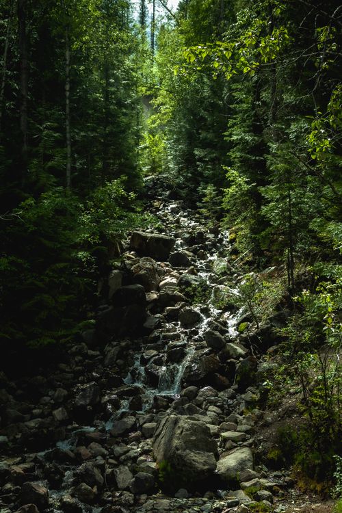 Free A tranquil stream flows through a lush forest, surrounded by rocks and trees. Stock Photo
