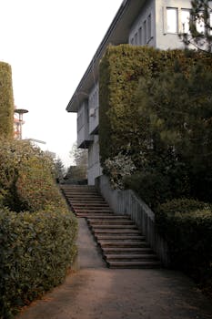 Vertical shot of a modern house with concrete stairs and lush greenery, creating a serene outdoor ambiance.