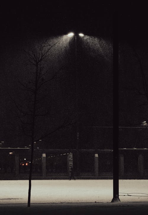 Passerby on a Sidewalk Buried in Snow during Snowfall