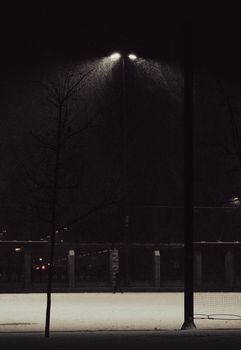 A serene winter night scene in Vancouver, BC, with snow falling under streetlights.