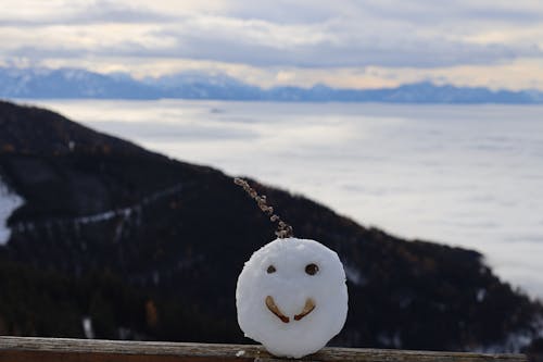 Fotos de stock gratuitas de alegría, bola de nieve, bosque de invierno