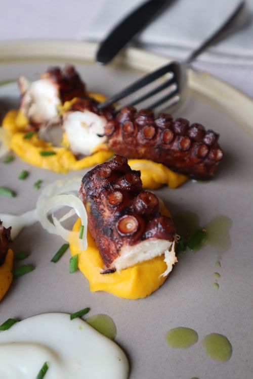 Free A close-up of gourmet grilled octopus on a plate with vibrant puree and garnish. Stock Photo