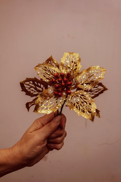 Free A close-up of a hand holding a glittering gold Christmas poinsettia decoration. Stock Photo