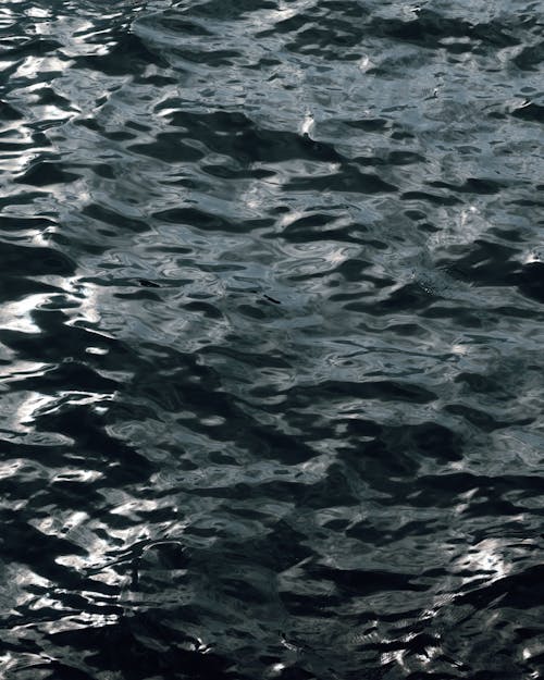 Foto d'estoc gratuïta de aigua, oceà, onades
