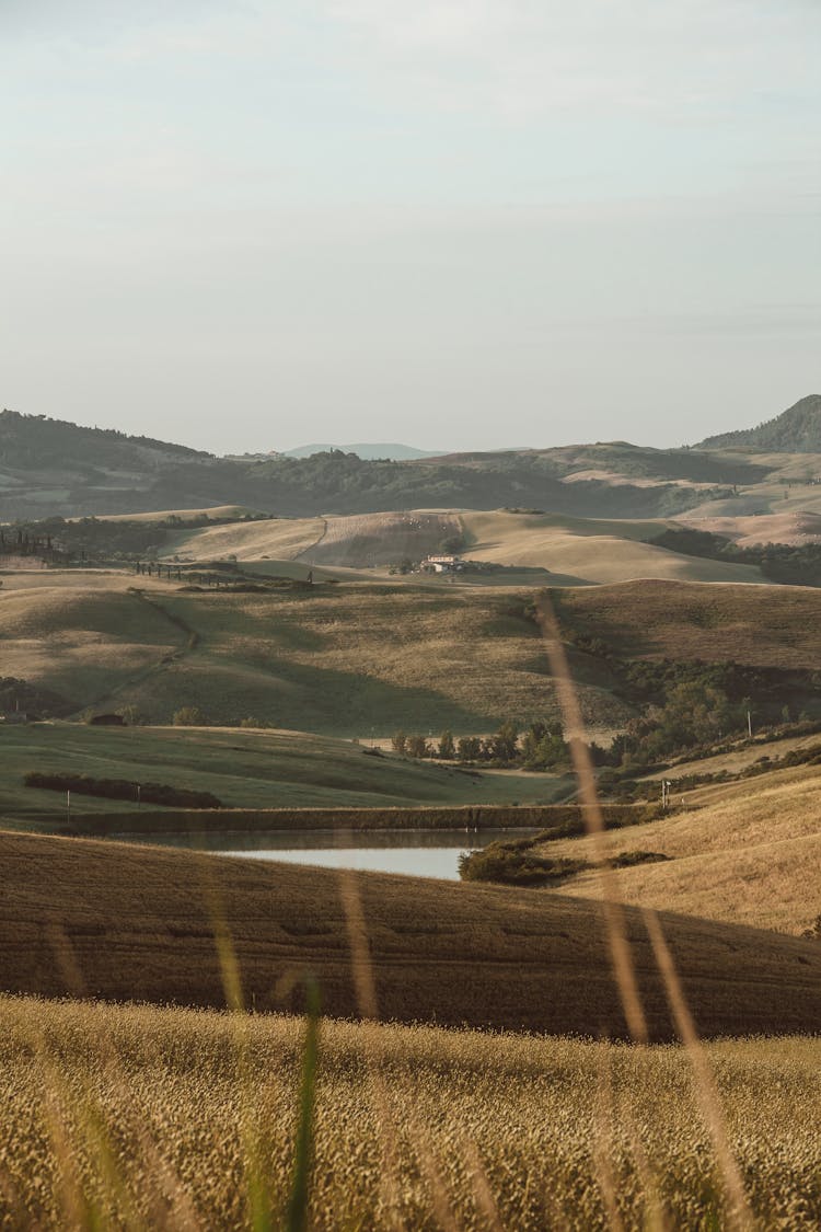 Landscape Of Hills