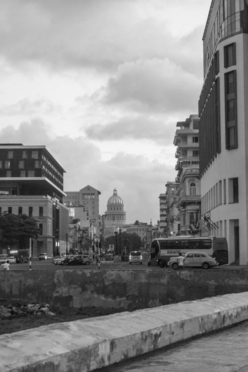 คลังภาพถ่ายฟรี ของ การจราจร, ขาวดำ, ถนนในเมือง