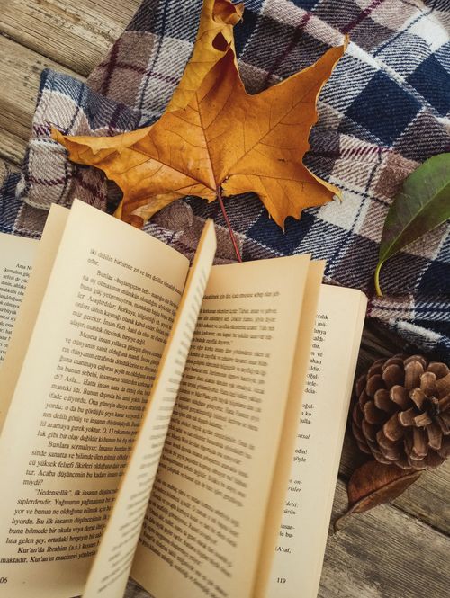 Free Comforting autumn setup with books, leaves, and a warm plaid blanket. Stock Photo