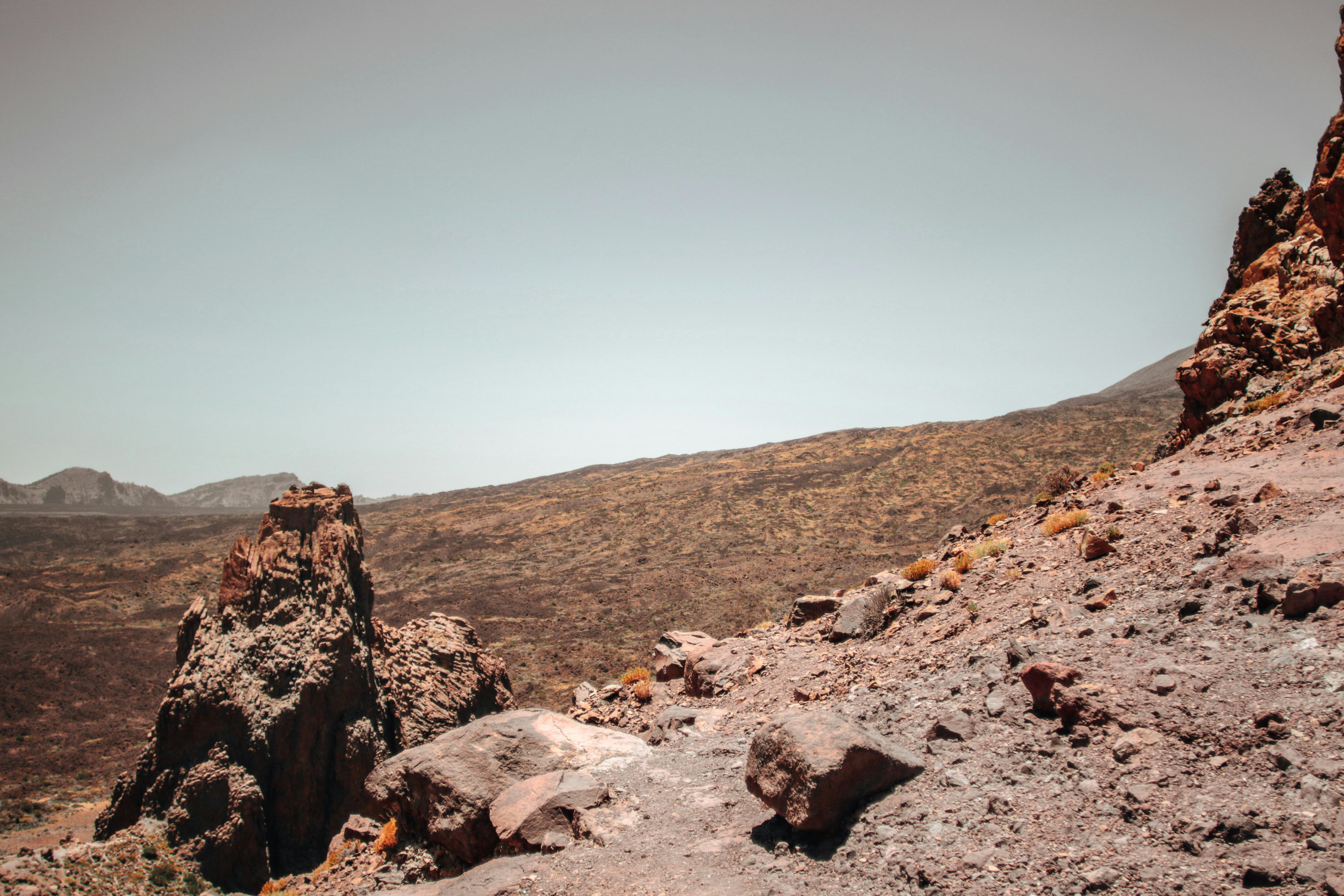 What are the first signs of dry rot?