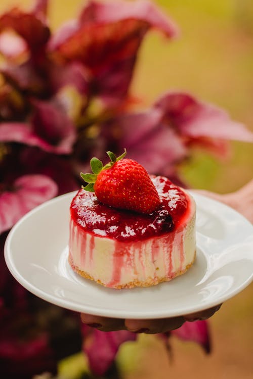 Cheesecake on a Plate