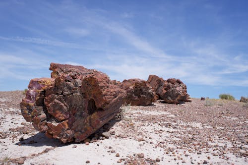 Ilmainen kuvapankkikuva tunnisteilla aavikko, arizona, hiekka