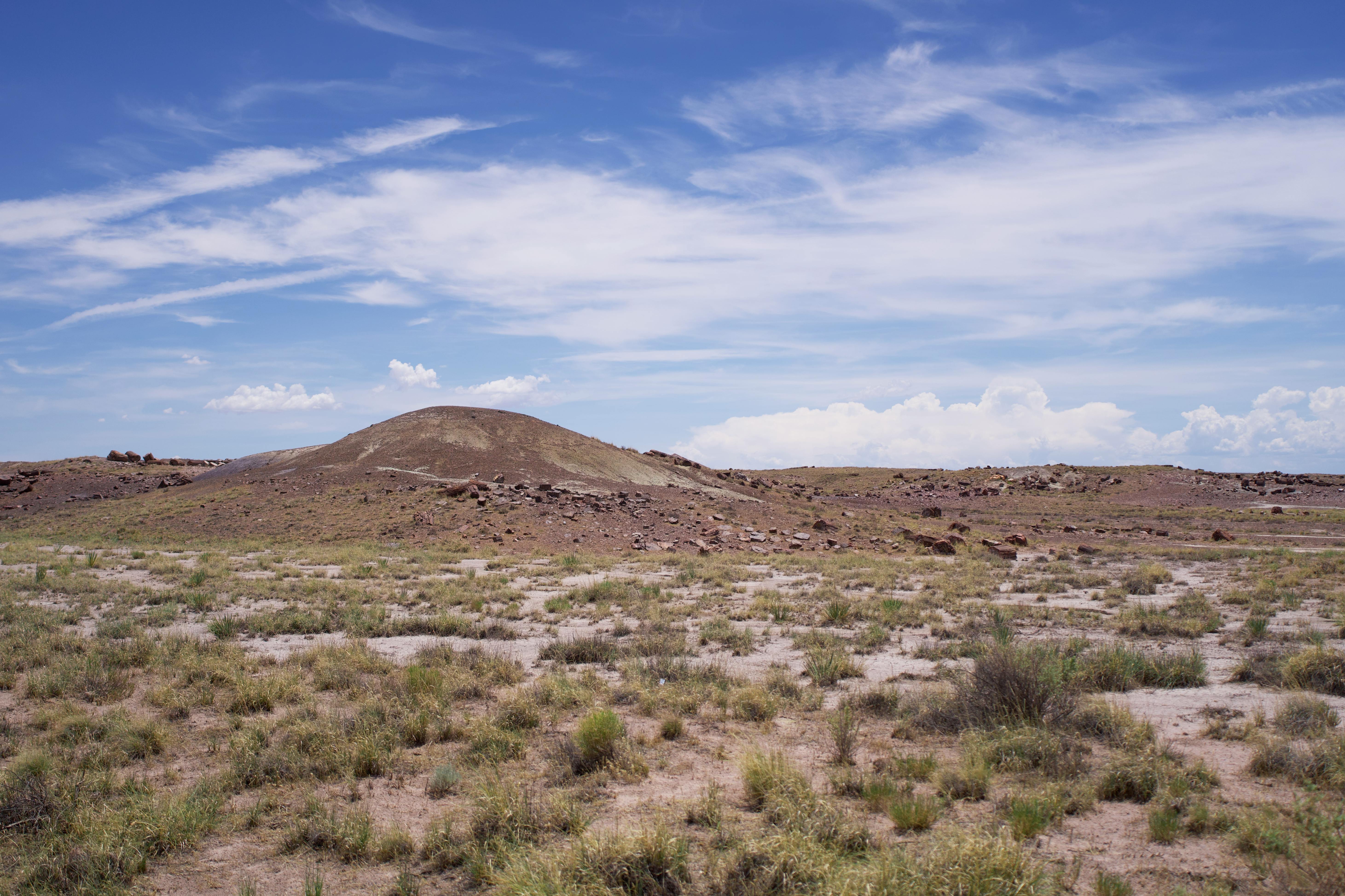painted desert in arizona usa