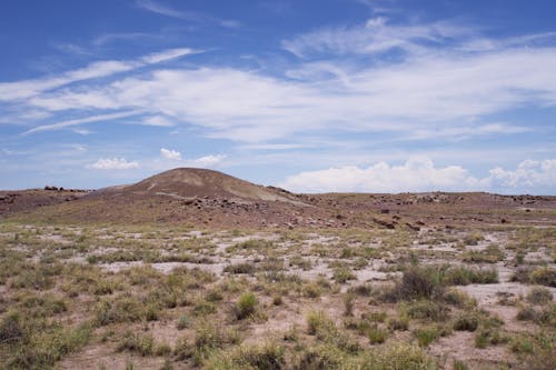 Painted Desert in Arizona, USA