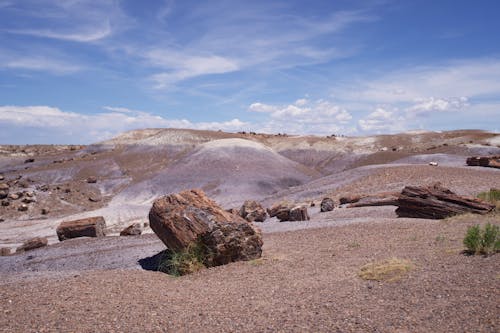 Rocks on Painted Desert in Arizona, USA