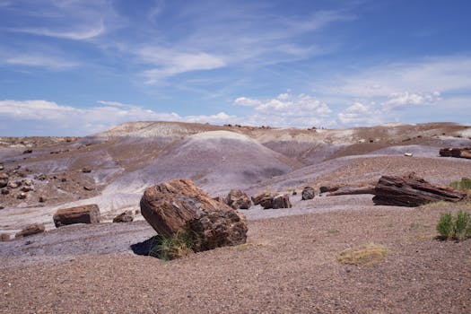 Explore the striking landscape of Petrified Forest National Park with its ancient petrified wood and vibrant desert hues.