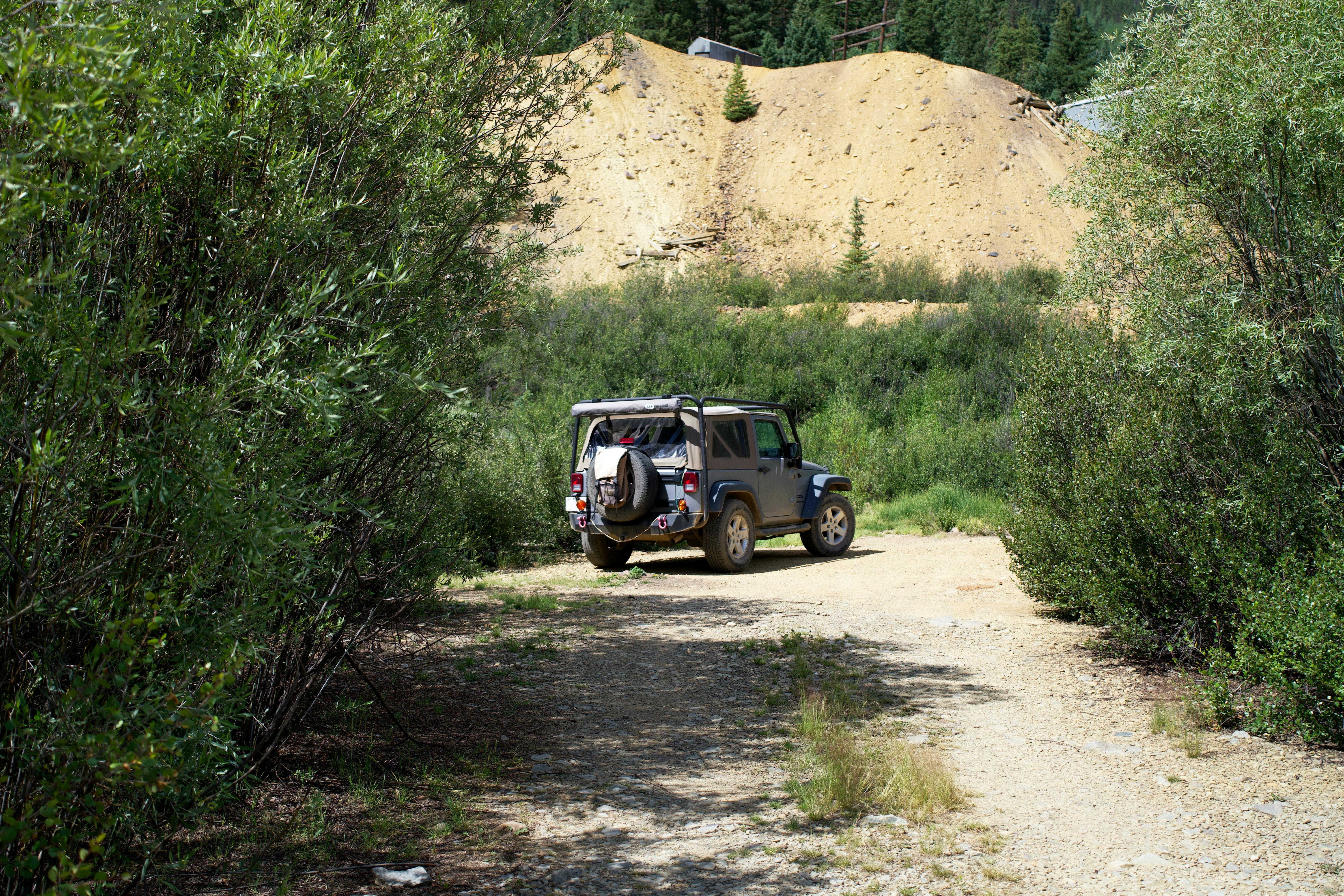 SUV driving on a scenic dirt road through lush green wilderness and sandy terrain.